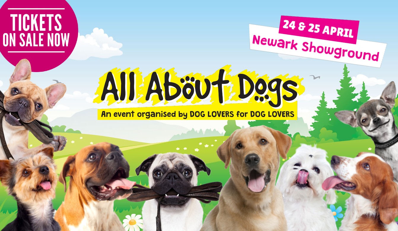 Newark All About Dogs Shows